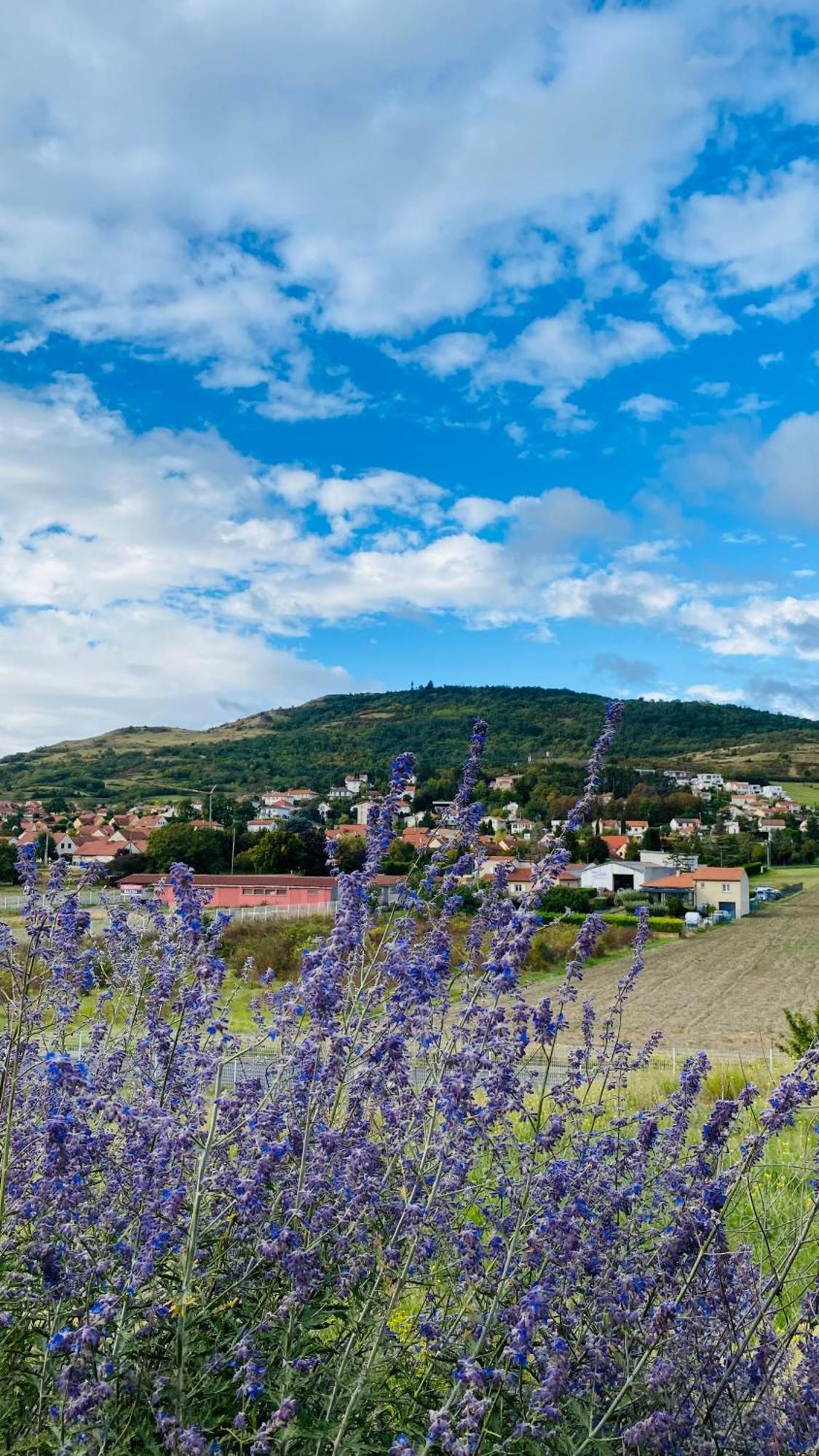 Best Western Plus Hotel Gergovie Perignat-les-Sarlieve Exteriér fotografie